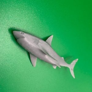 Shark 70mm