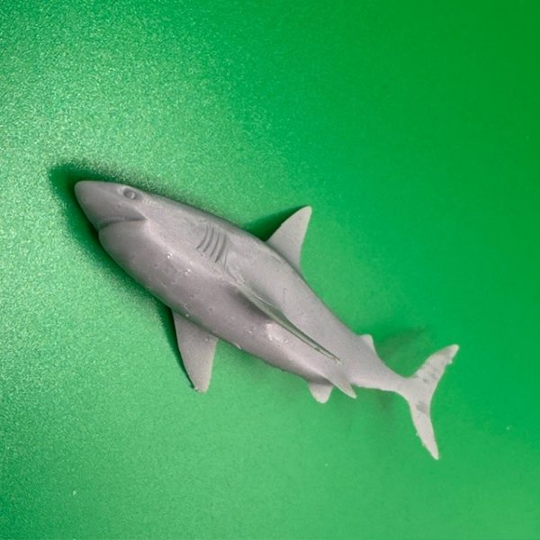 Shark 70mm